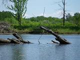 Winooski 05 : Vermont Canoe Spring